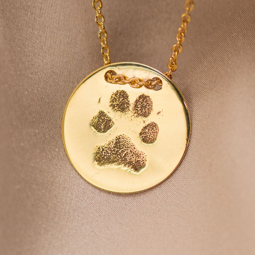 Pet Jewellery